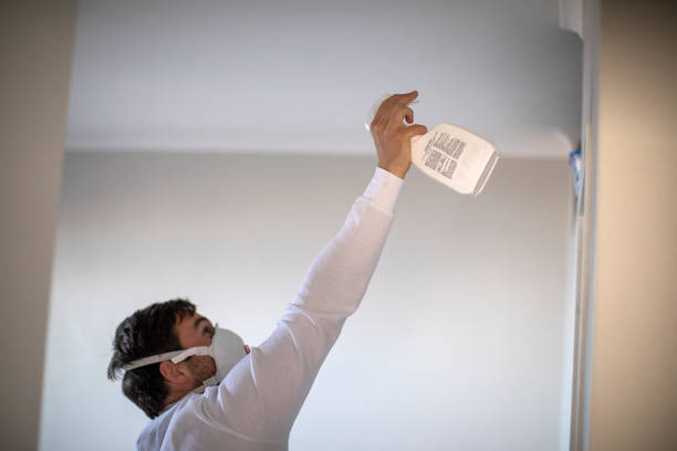 Best Post-Flood Mold Remediation in Miami Beach, FL